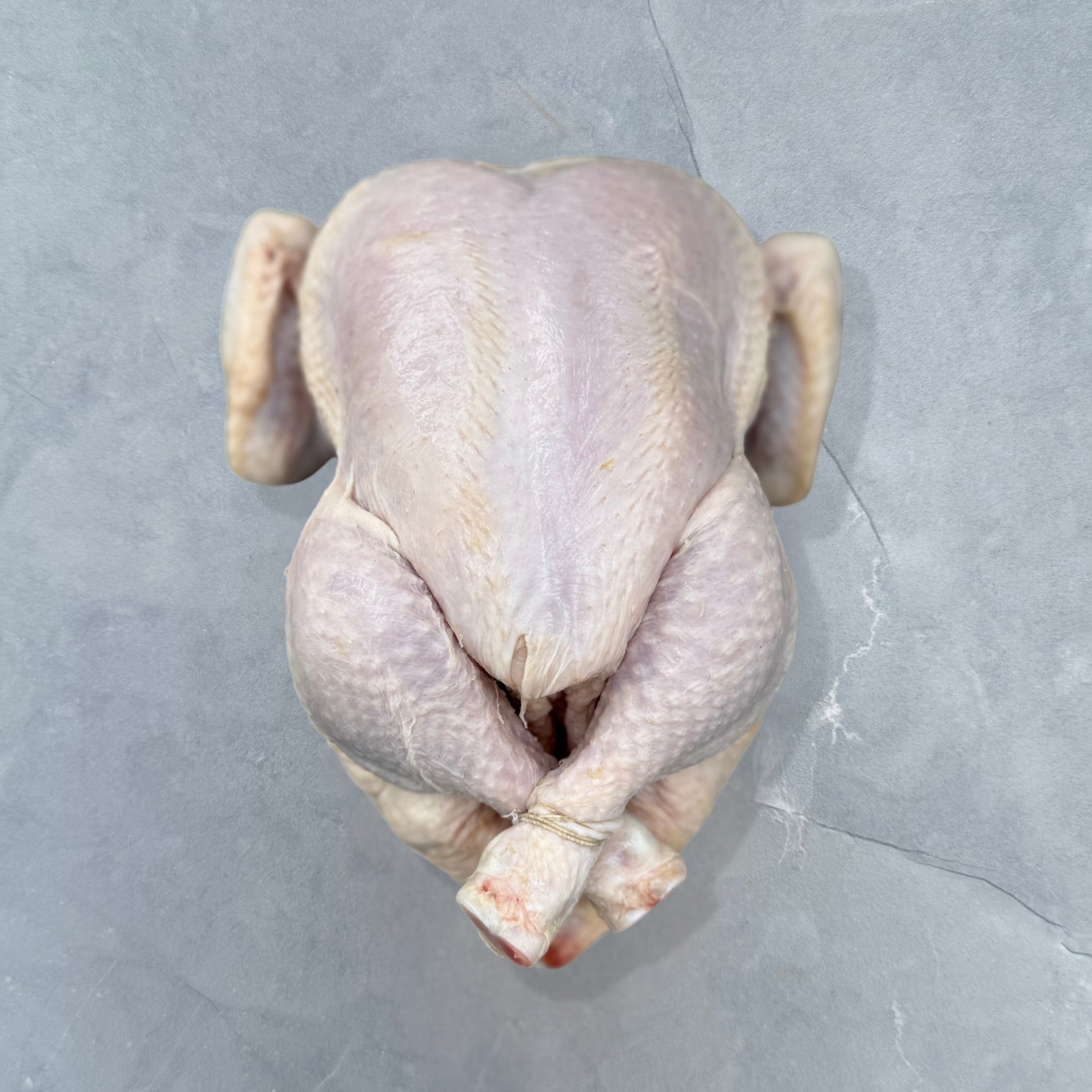 Whole Poly Chicken - Size 14