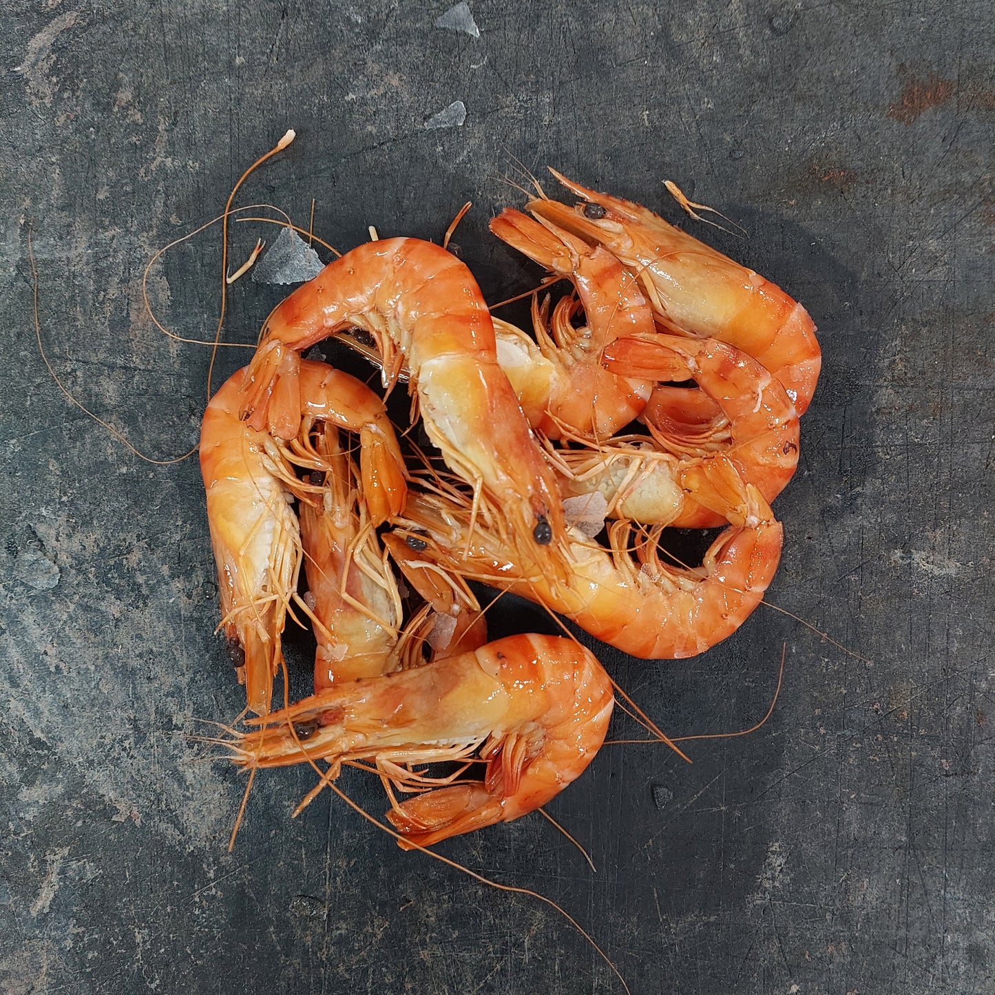 Australian Fresh Tiger Prawns - 1kg